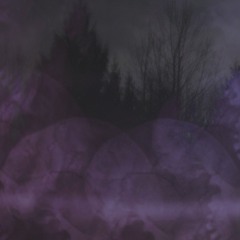 WL//WH - JUNE 2025 // Shoegaze /Dream Pop /Psychedelic /Indie Pop