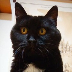 Red Floyd - Lucifer Sam