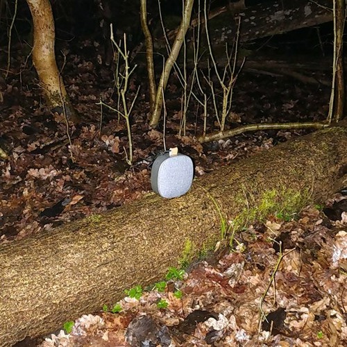 A Movable Heart (disquiet0484)