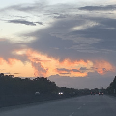 King-welcome to imperial freestyle