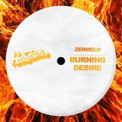 ZERMELO - Burning Desire