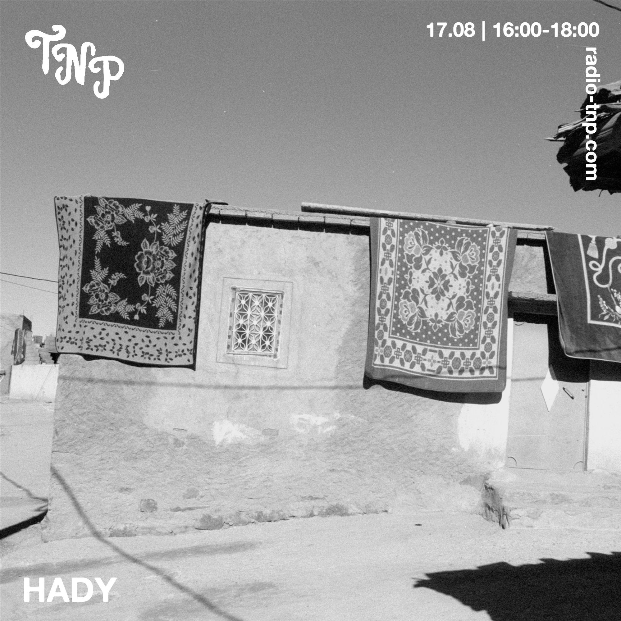 Hady