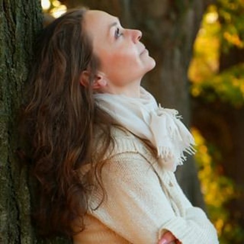 Vyčítavá