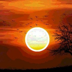 Sunsetter (new Account Mix)