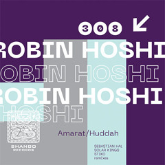 Robin Hoshi - Huddah (Stiko remix)