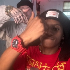 HAVOC FREESTYLE(P. link x raygen)