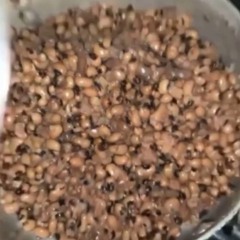 she made beans wtf (remix)