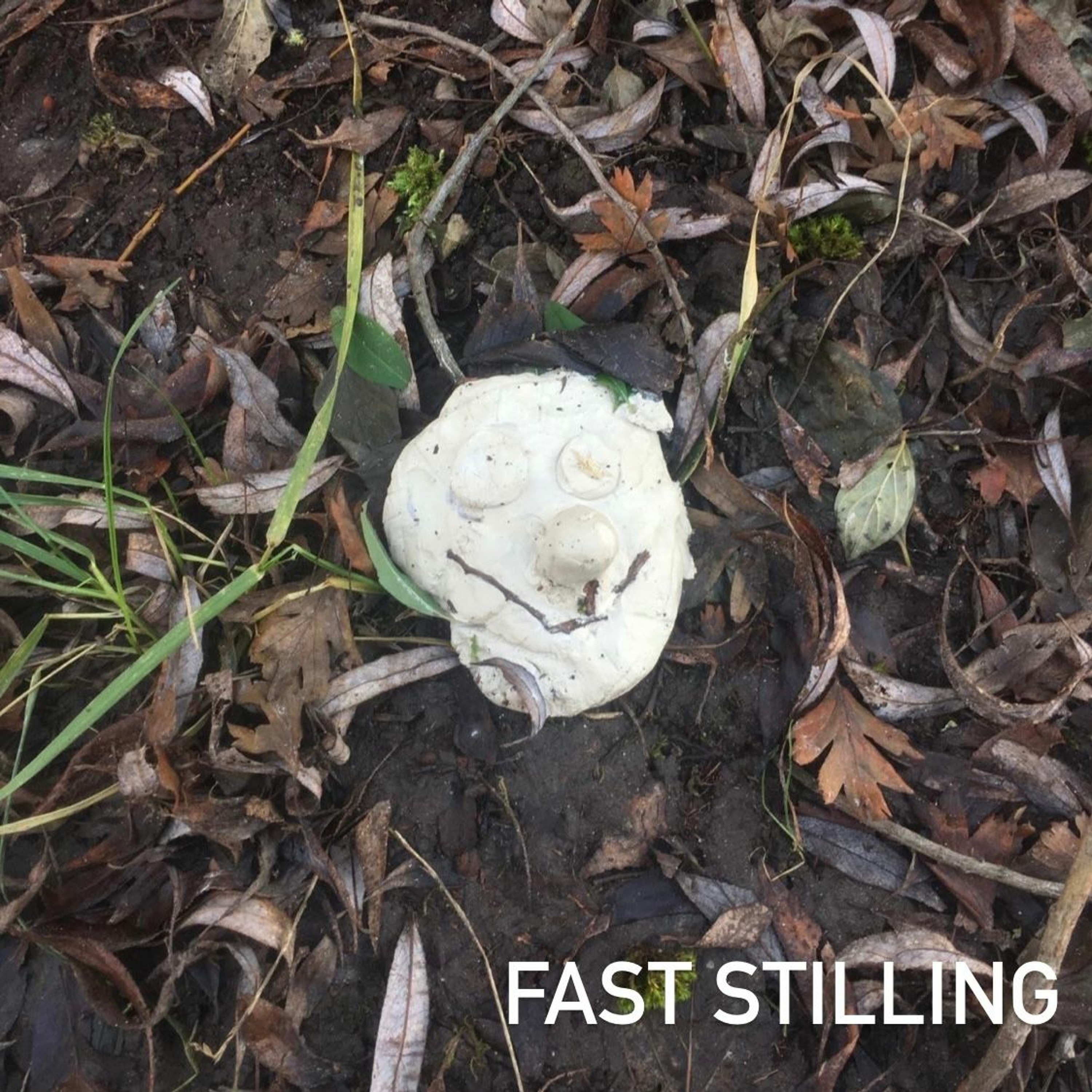 Fast Stilling #10: Gid det må overvælde os