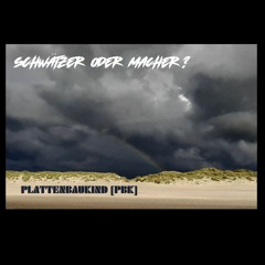 Schwätzer oder Macher? (Hardtekk) by PBK Music