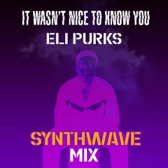 Wasn't Nice To Know You Synthwave Extended Remix