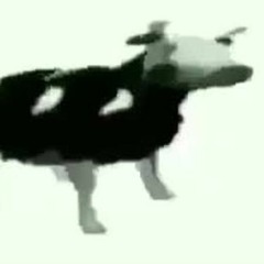 Polish Cow Type Beat (what)