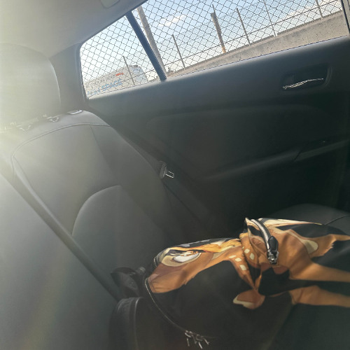 Ariana West Coast Resonance Theme