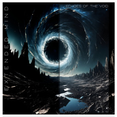 Echoes of the Void