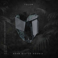 Adam Dieteze and Adonix - "Tulum"