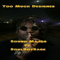 Too Much Designer (Feat. SoulBoySage)