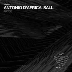 Antonio D'Africa, Sall - Concept Recall [Say What?]