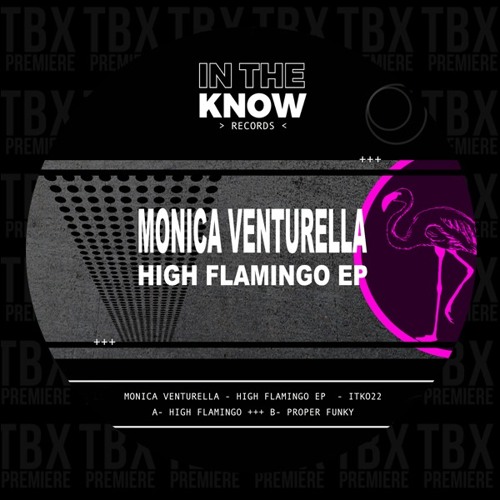 Premiere: Monica Venturella - High  Flamingo [In The Know Records]