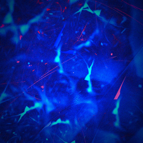 Mon esprit bleu, Mère Lusine