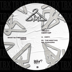PREMIERE: Troxy - The Meeting [What NxT]