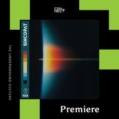 PREMIERE: AFFKT - No Signal (Pavel Petrov Mindiemal Remix) [Sincopat]