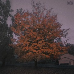 as i walk thru the rain (prod. drewgaveli)