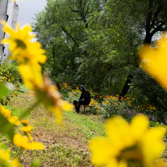 Жёлтые Волосы