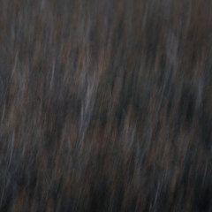 27032025