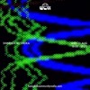 Shindigs w/ Krijka - 13th August 2025 | Bangkok Community Radio DJ mix artwork - Electronic music tracklist cover image