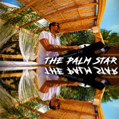 The Palm Star Ibiza Mix 14