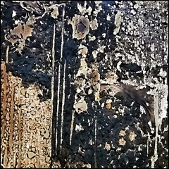 SPUREN