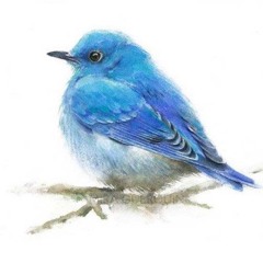 Underrated Miracles - demo