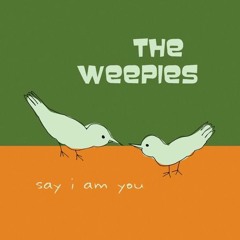 The Weepies - The World Spins Madly On (Trazer remix)