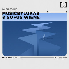 Dark Space (Raptures. Remix)