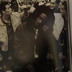 MALEX THE DRUM BREAKER