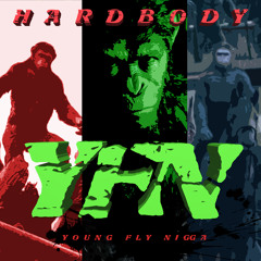 YFN (feat. 4PF Mali, Fatt Zayy & Freako)