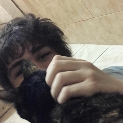 TWIKIPEDIA - NICE BOY (SNIPPET)