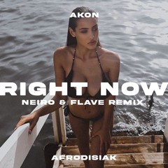 Akon - Right Now (NaNaNa) (NEIRO & FLAVE (FR) Remix)