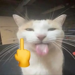 Děkuju ti (feat. Lucie Bílá) [SyNo Remix]