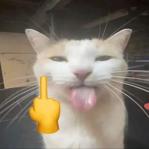 Děkuju ti (feat. Lucie Bílá) [SyNo Remix]