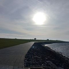 taylor swift - delicate- slower ballad cover