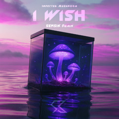 Infected Mushroom - I Wish (Sensik Remix)