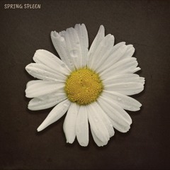 Spring Spleen
