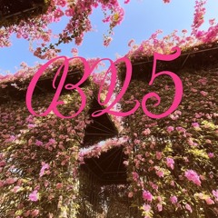 BB25