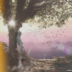 @ilyzeelo - Emotions