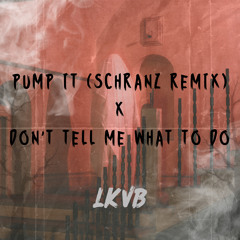 Pump It (Schranz Remix) x DON'T TELL ME WHAT TO DO (175BPM)
