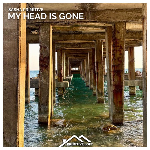 Sasha PRimitive - My Head Is Gone