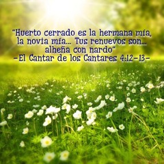 Anhelo respirarte más - S82