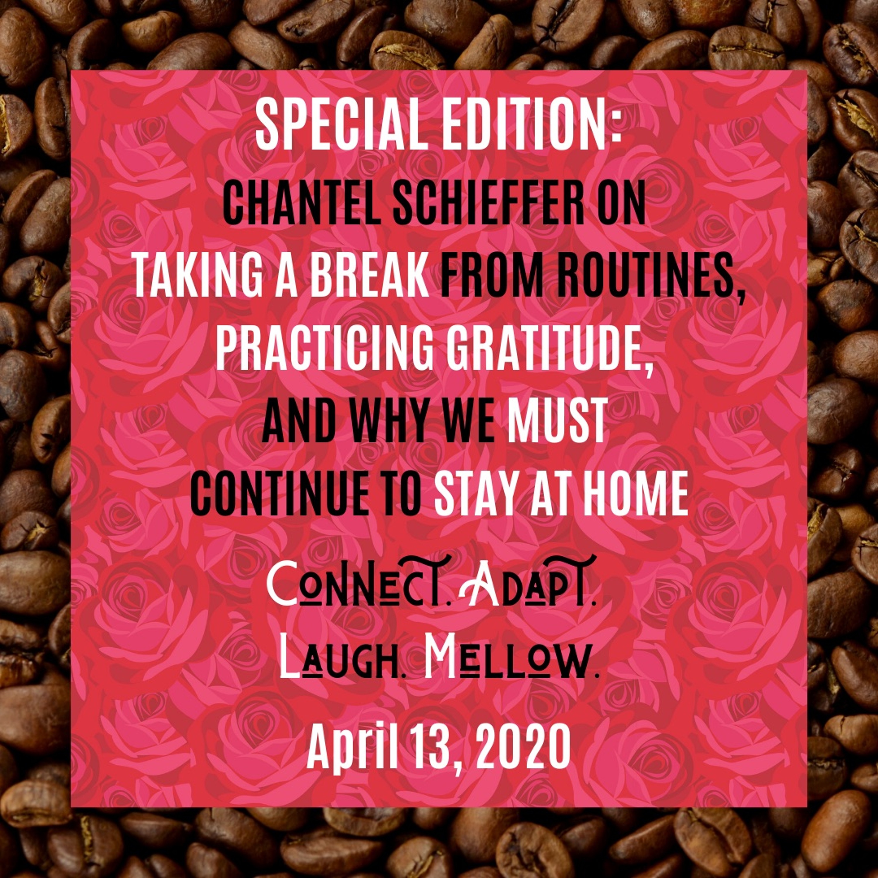 SES1E12: Practicing Gratitude with Chantel Schieffer (From the IP Archives) episode artwork