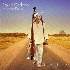 David Cedeño - Salsa Na'ma