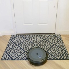 Rogue Roomba